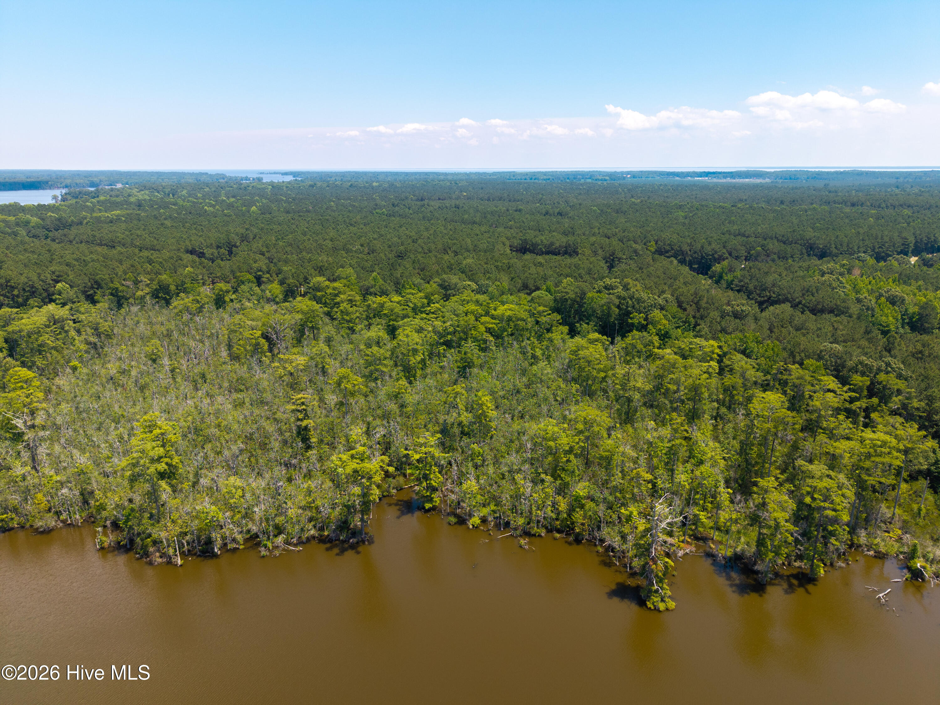 405 Riversound Drive Edenton, NC 27932 - Photo 12 of 15