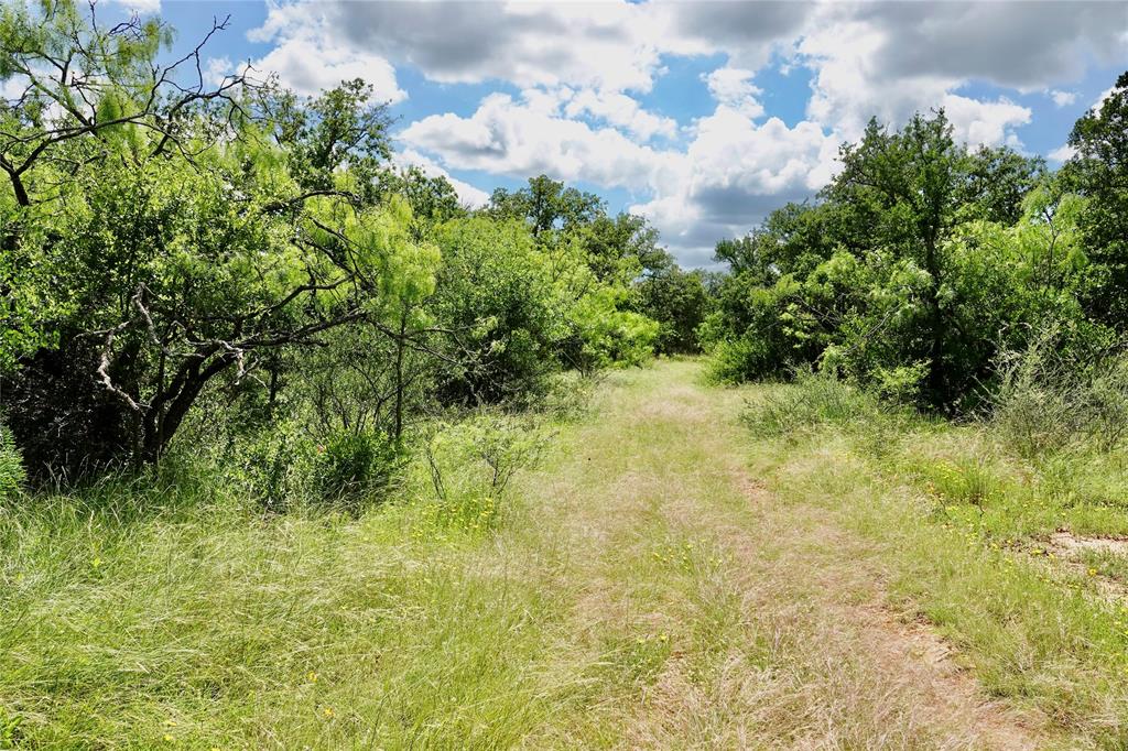 219 C R 550 Mullin, TX 76864 - Photo 31 of 37 a view of a yard