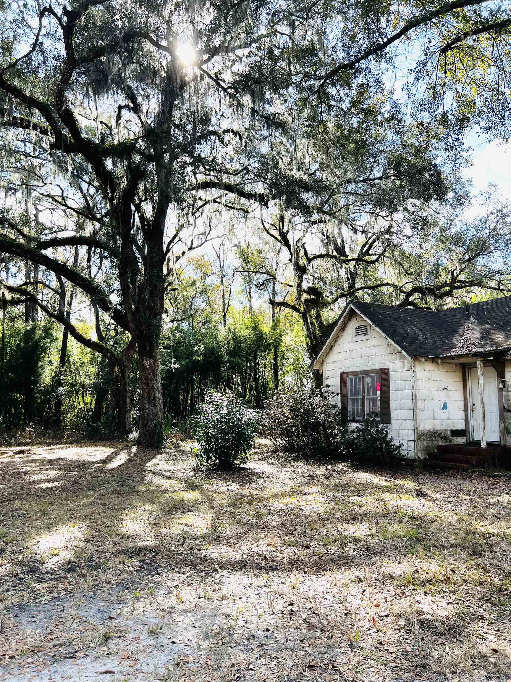 2401 Dean Road Perry, FL 32348 - Photo 3 of 8