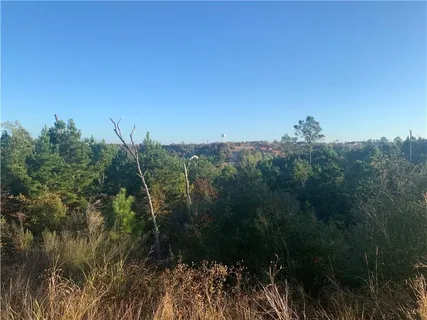 $49,000 | Lot 3 Kainalu Lane, Bastrop, TX 78602