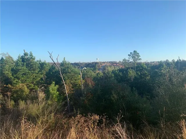 $49,000 | Lot 3 Kainalu Lane, Bastrop, TX 78602