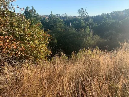 $49,000 | Lot 3 Kainalu Lane, Bastrop, TX 78602