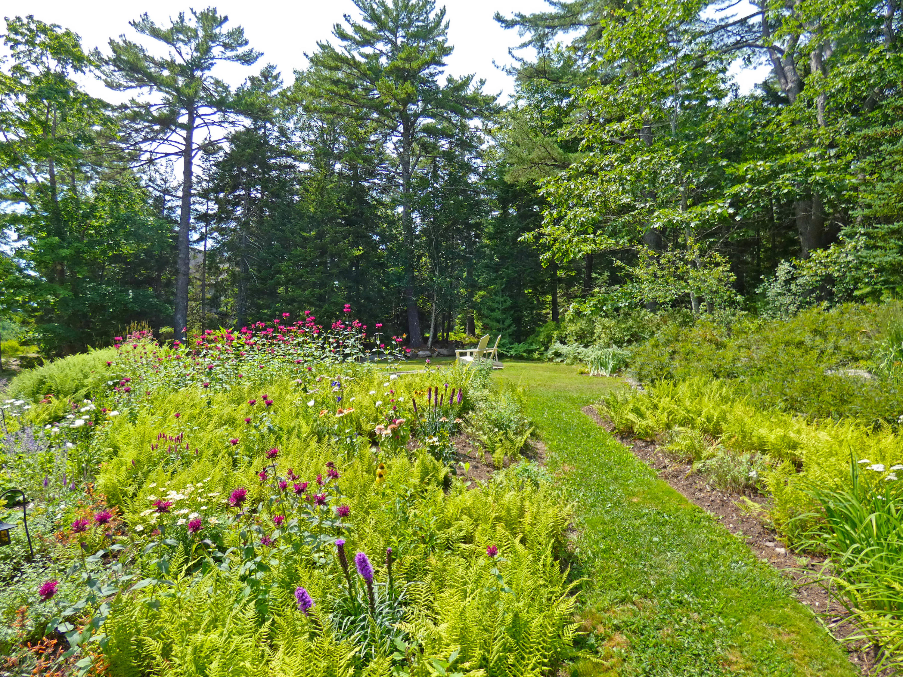 19 Delights Road Northeast Harbor, ME 04662 - Photo 59 of 61 Gardens