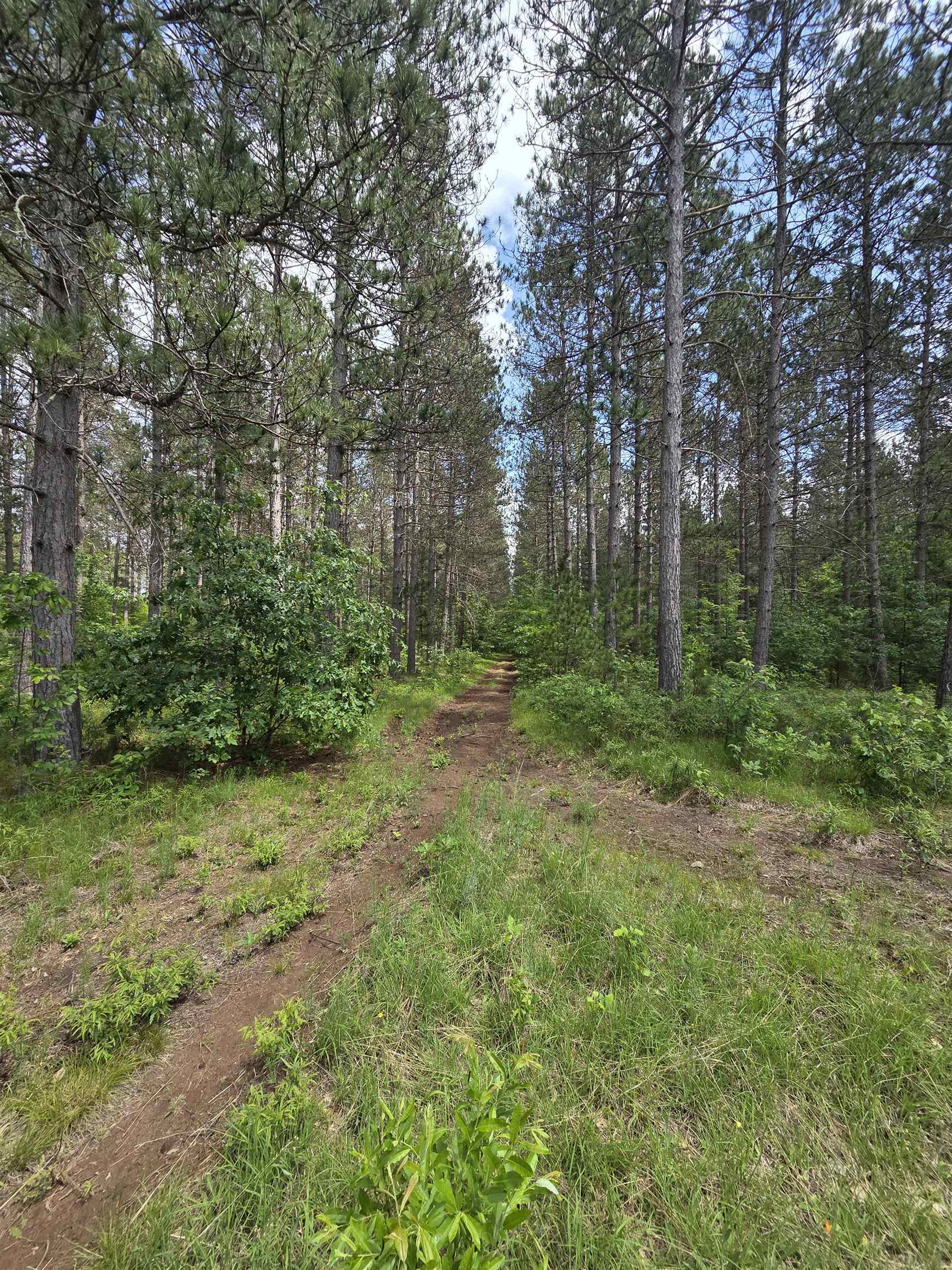 Tower Road Athelstane, WI 54104 - Photo 3 of 25