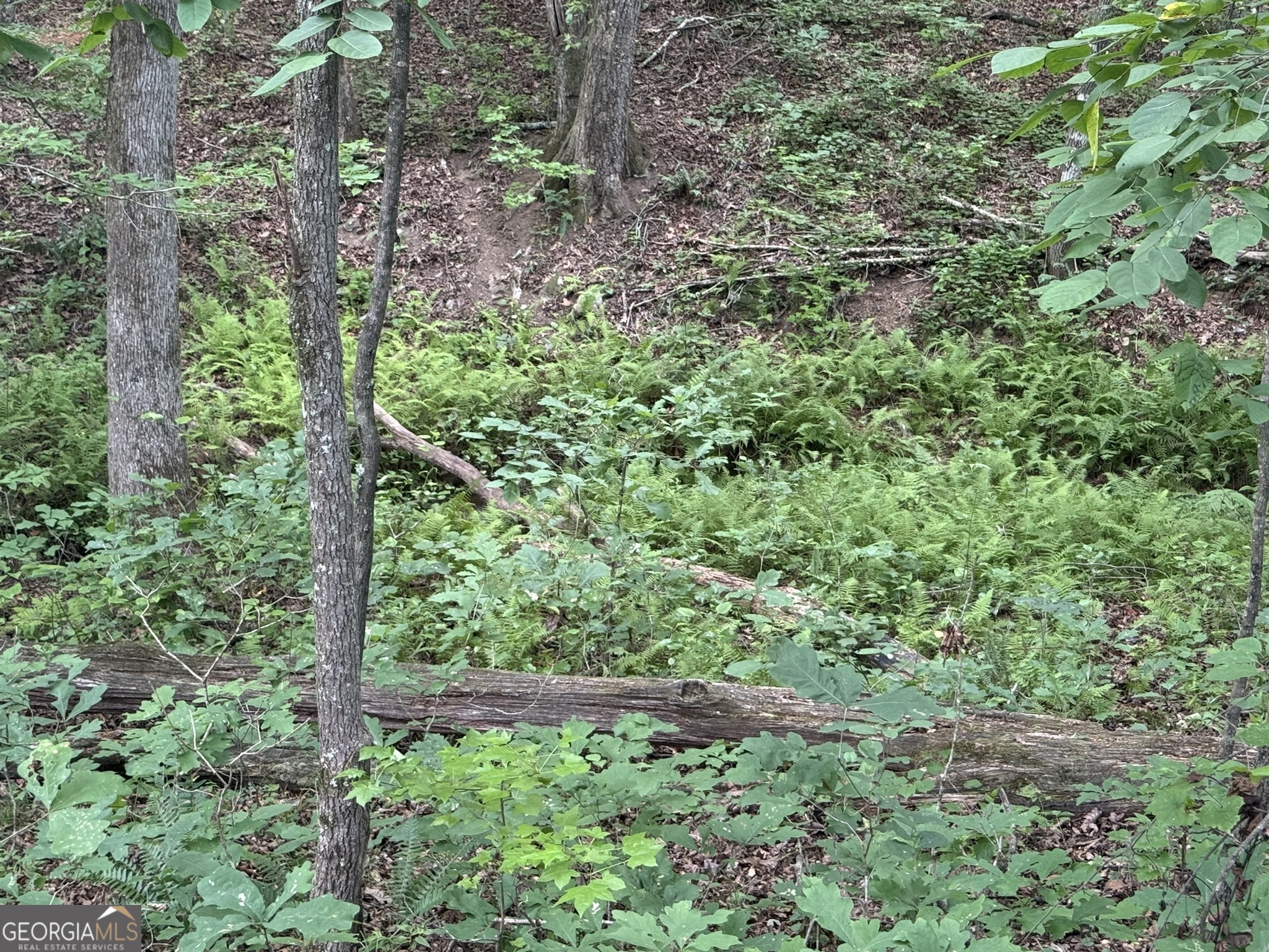 0 Cartbody Road Carrollton, GA 30116 - Photo 10 of 24