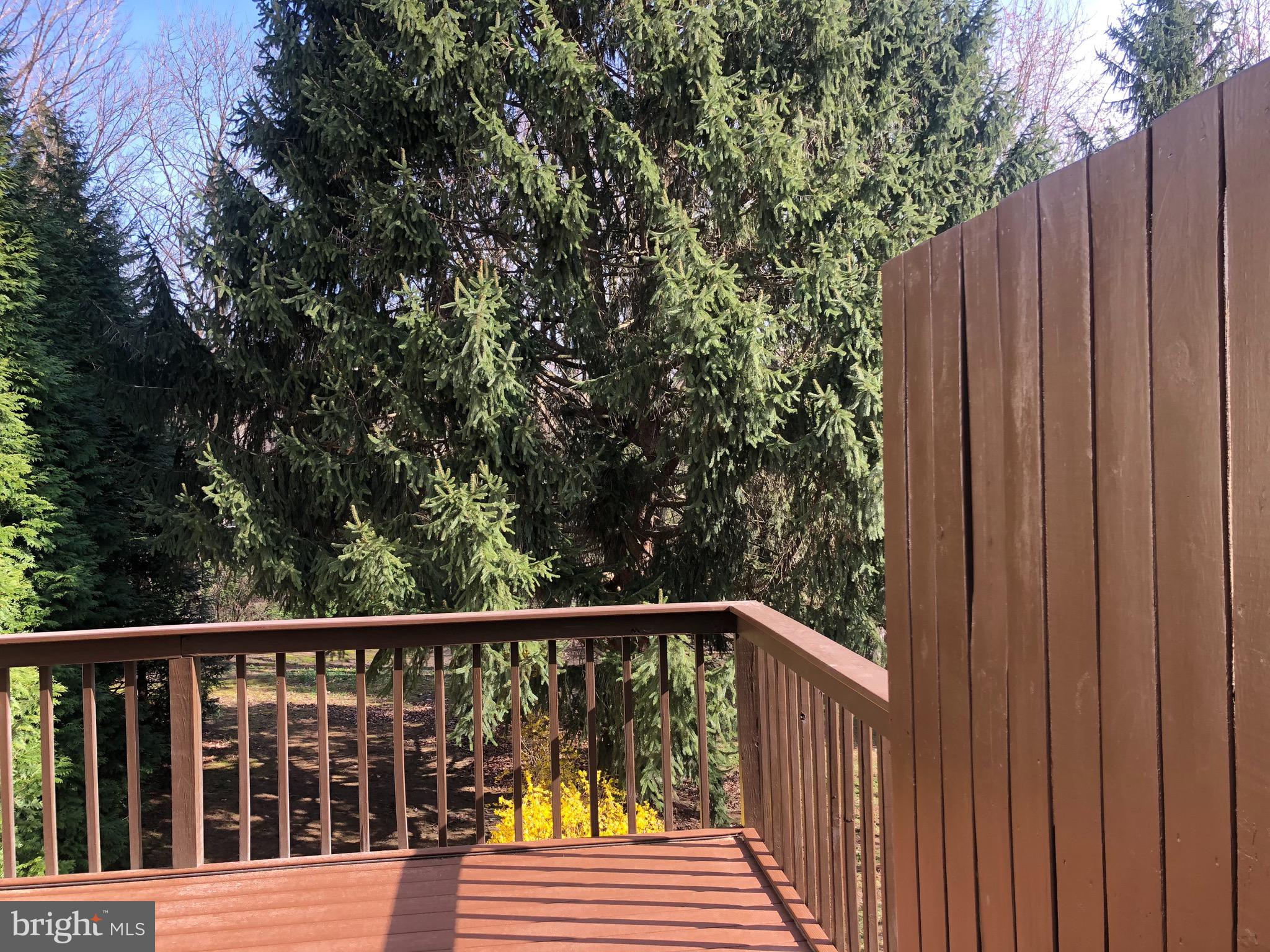3402 Honey Run Road Ambler, PA 19002 - Photo 12 of 16 Brand new, maintenance free deck