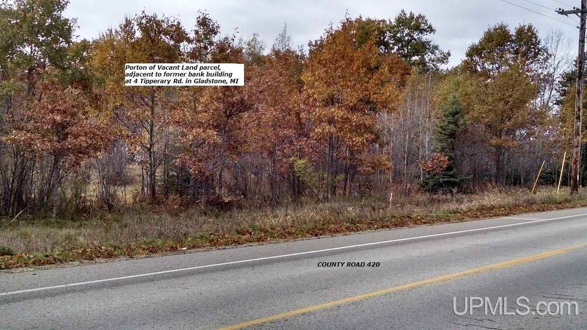 0 Co Road Gladstone, MI 49837 - Photo 4 of 4