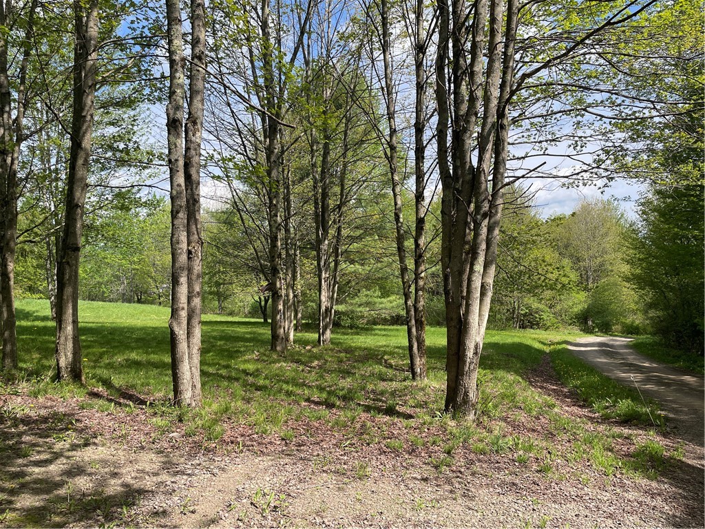 174 Peraglie Road Jefferson, NY 12093 - Photo 13 of 15