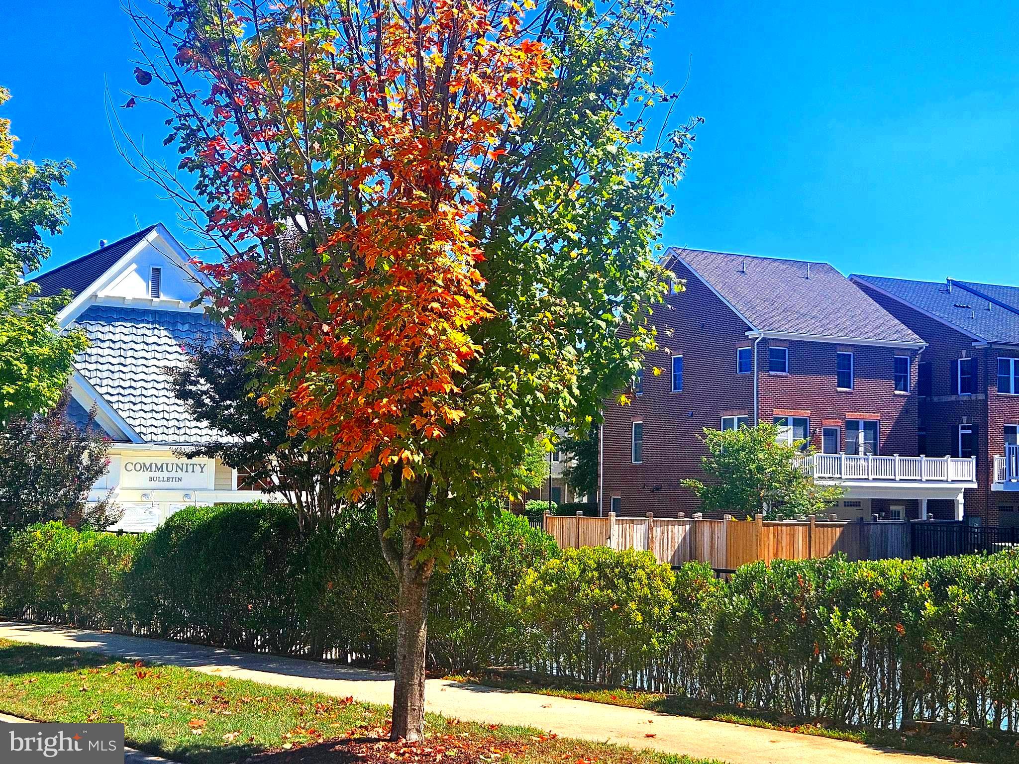 336 Grand Street Gaithersburg, MD 20878 - Photo 4 of 28 AREA VIEW