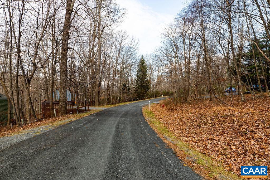 105 Den Tree Lane Roseland, VA 22967 - Photo 2 of 6 a view of a backyard with large trees