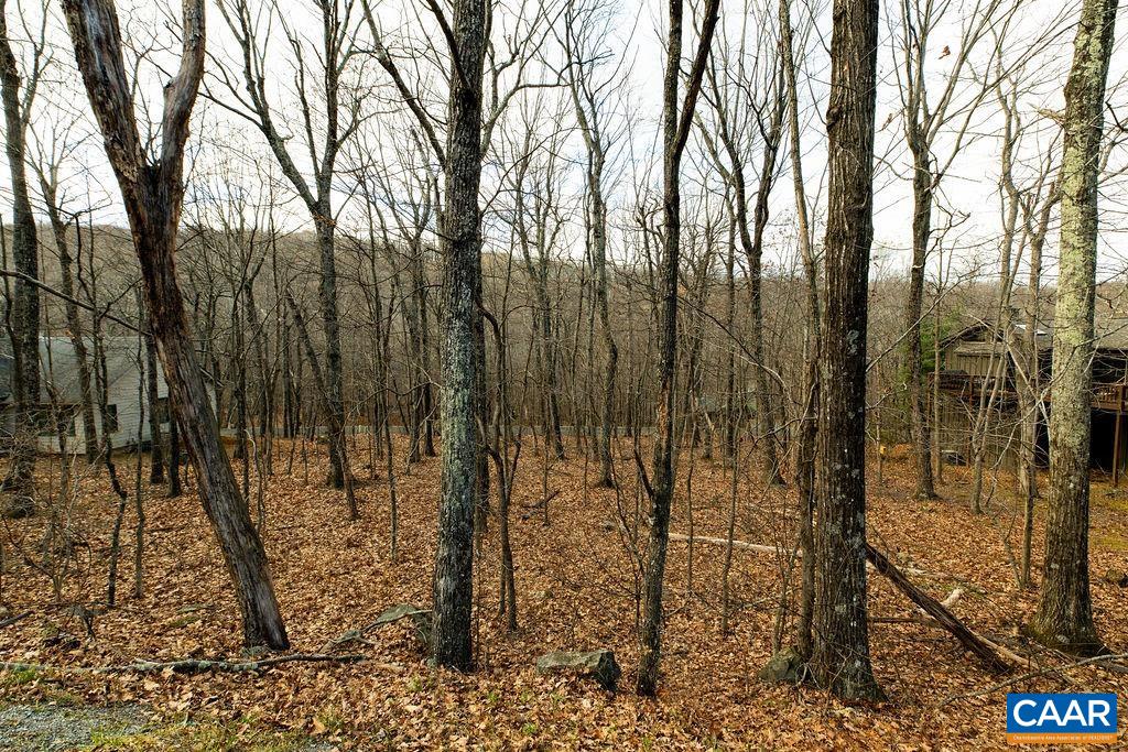105 Den Tree Lane Roseland, VA 22967 - Photo 3 of 6 a view of a forest