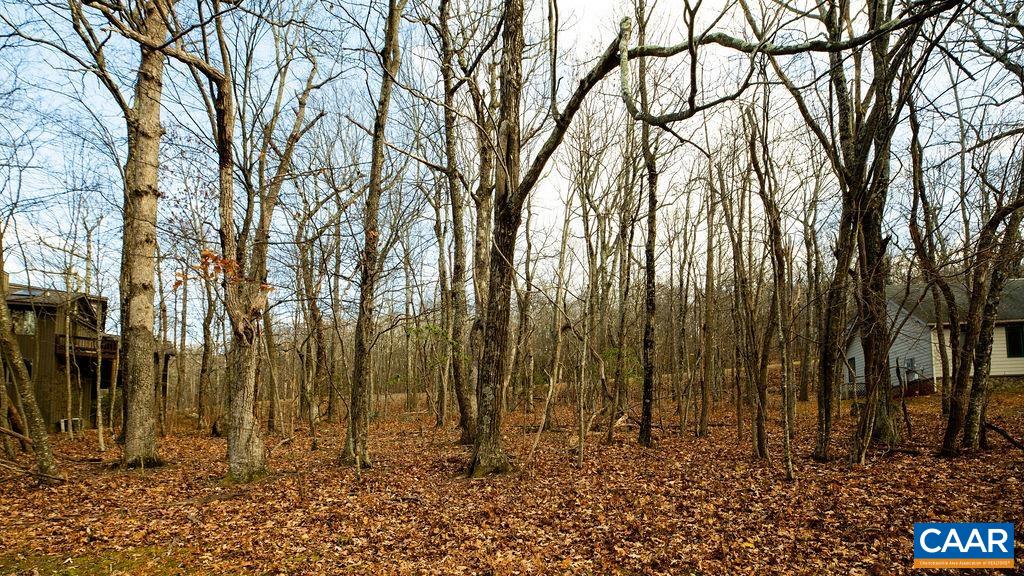 105 Den Tree Lane Roseland, VA 22967 - Photo 4 of 6 a view of a backyard