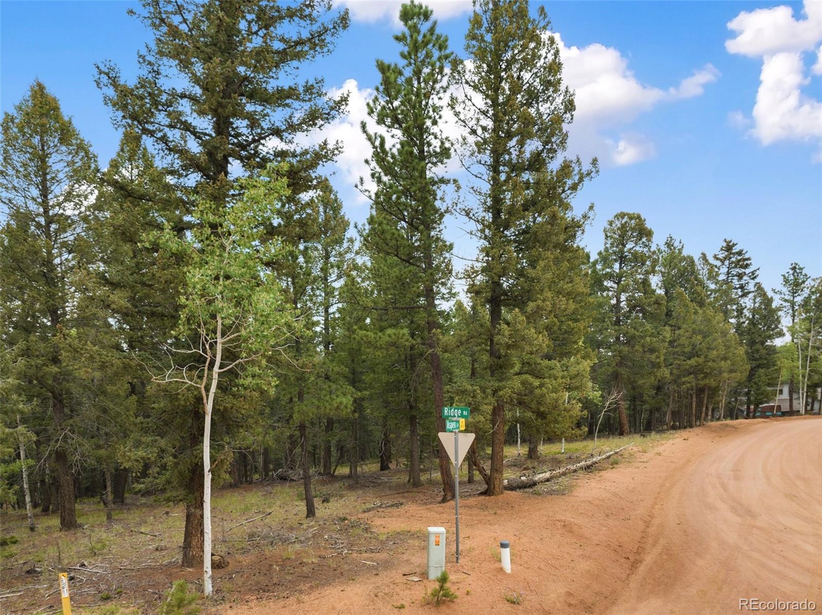 810 Ridge Road Divide, CO 80814 - Photo 23 of 27