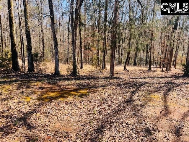 Maple Knoll Road Prosperity, SC 29127 - Photo 12 of 15