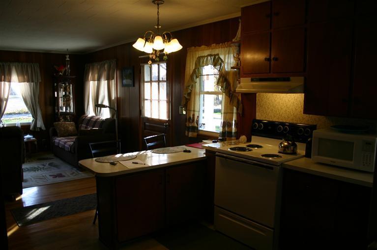 5265 22 Mile Road Homer, MI 49245 - Photo 3 of 15 Additional Photo