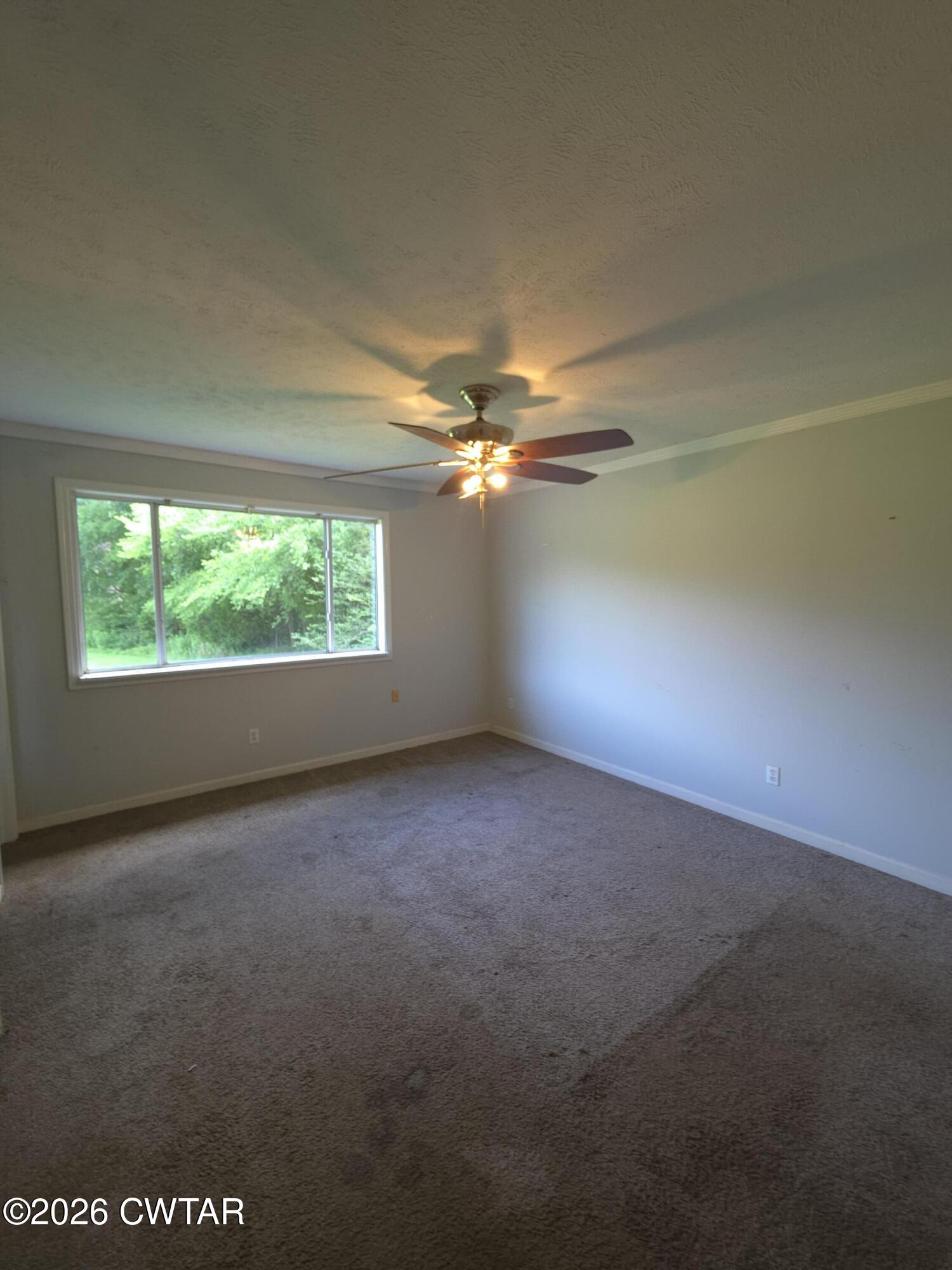 1963 Mifflin Road Beech Bluff, TN 38313 - Photo 21 of 25 20260613_103130