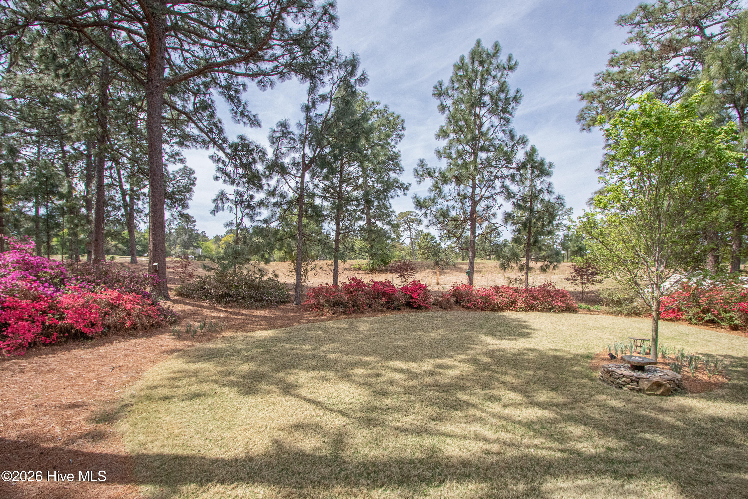 60 Oak Meadow Road Pinehurst, NC 28374 - Photo 54 of 67 BackYard2