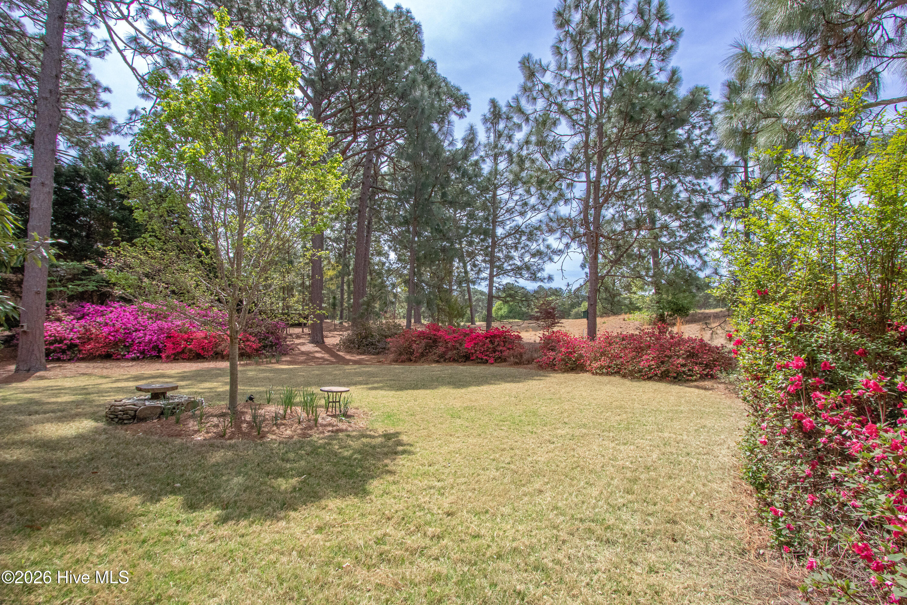 60 Oak Meadow Road Pinehurst, NC 28374 - Photo 58 of 67 BackYard6