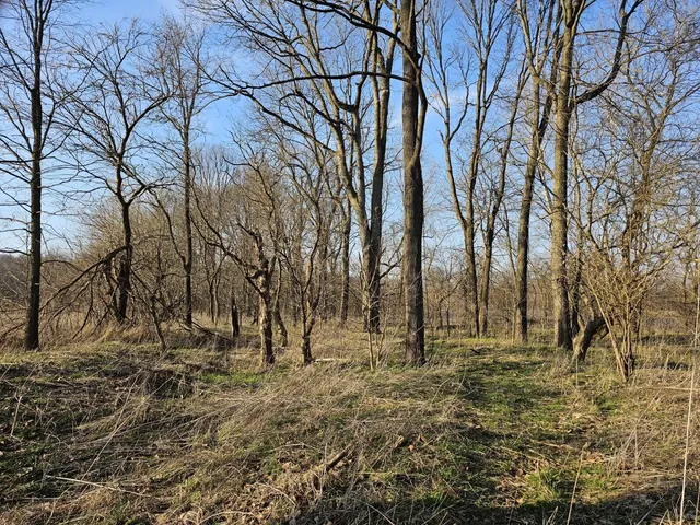 $399,000 | 0 Stipps Hill Road, Laurel, IN 47024