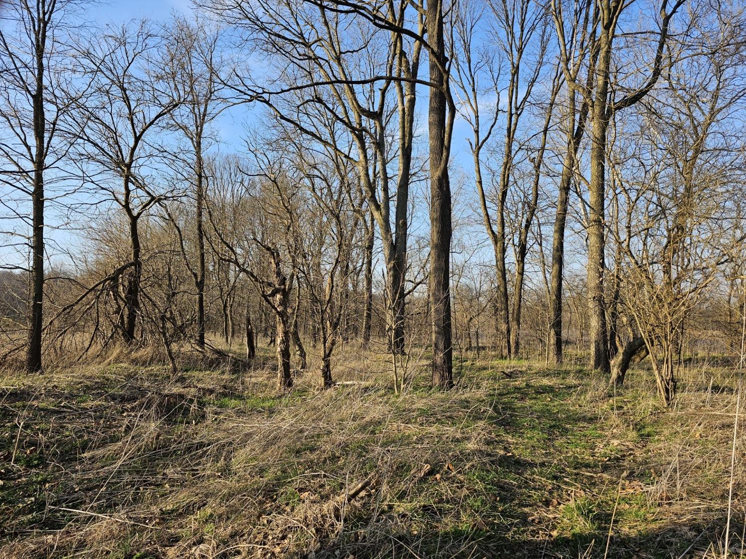 0 Stipps Hill Road Laurel, IN 47024 - Photo 13 of 23