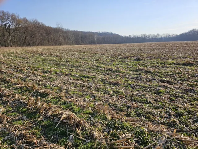 $399,000 | 0 Stipps Hill Road, Laurel, IN 47024