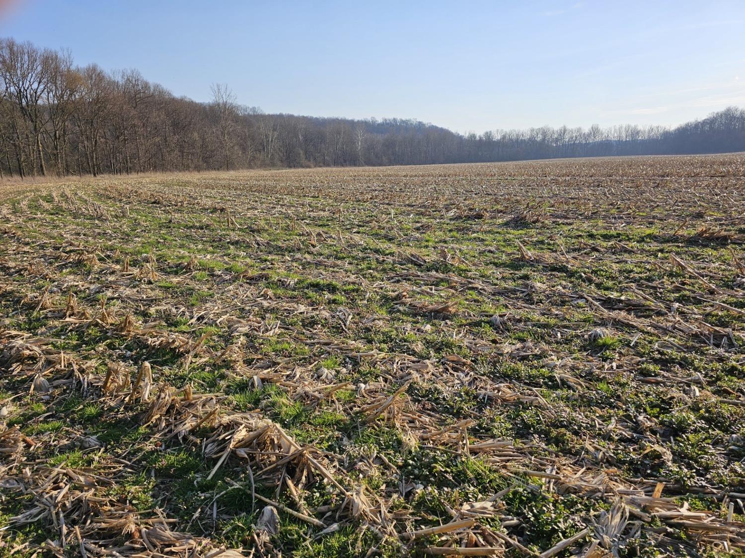 0 Stipps Hill Road Laurel, IN 47024 - Photo 14 of 23