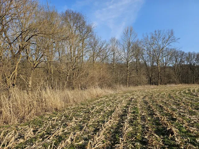 $399,000 | 0 Stipps Hill Road, Laurel, IN 47024