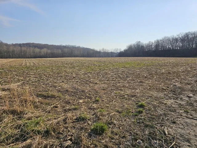 $399,000 | 0 Stipps Hill Road, Laurel, IN 47024