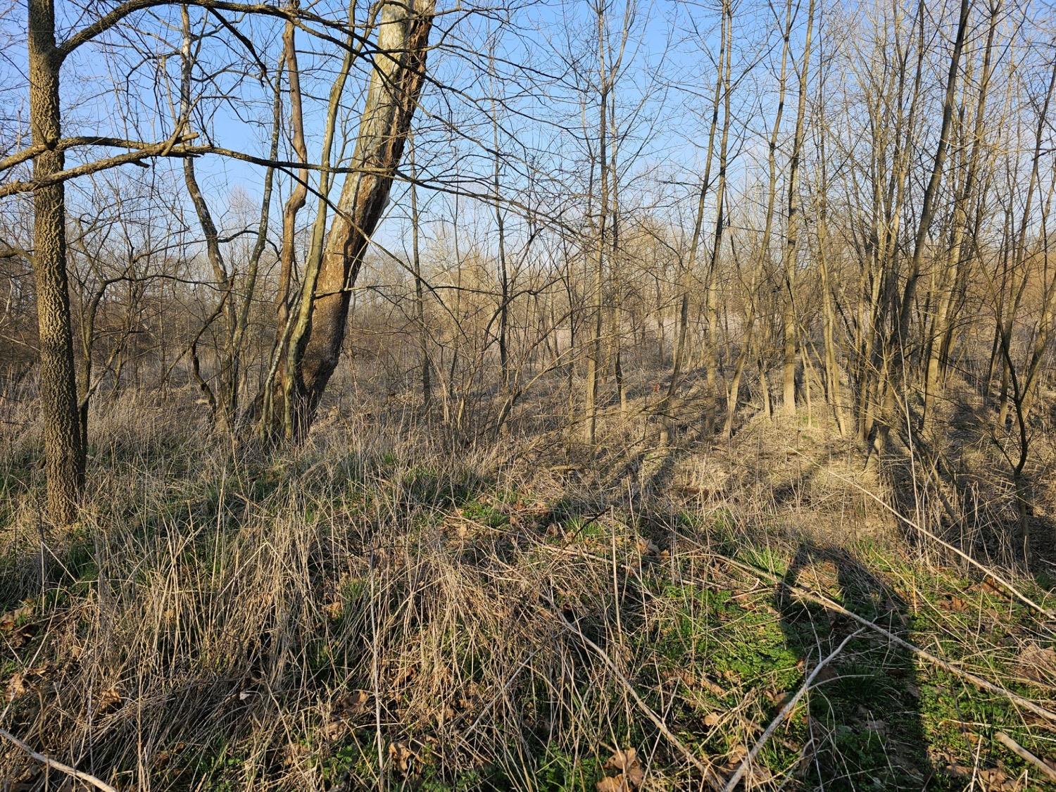 0 Stipps Hill Road Laurel, IN 47024 - Photo 19 of 23