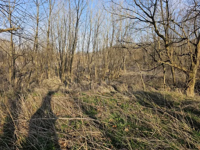 $399,000 | 0 Stipps Hill Road, Laurel, IN 47024