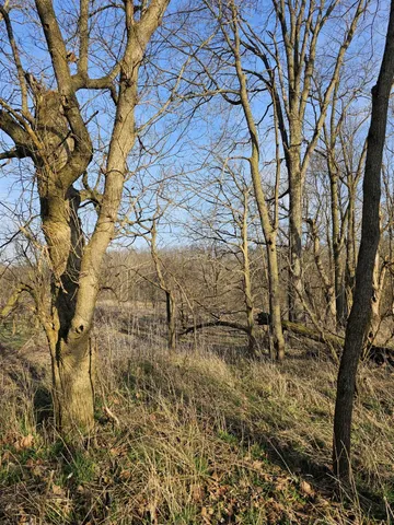 $399,000 | 0 Stipps Hill Road, Laurel, IN 47024