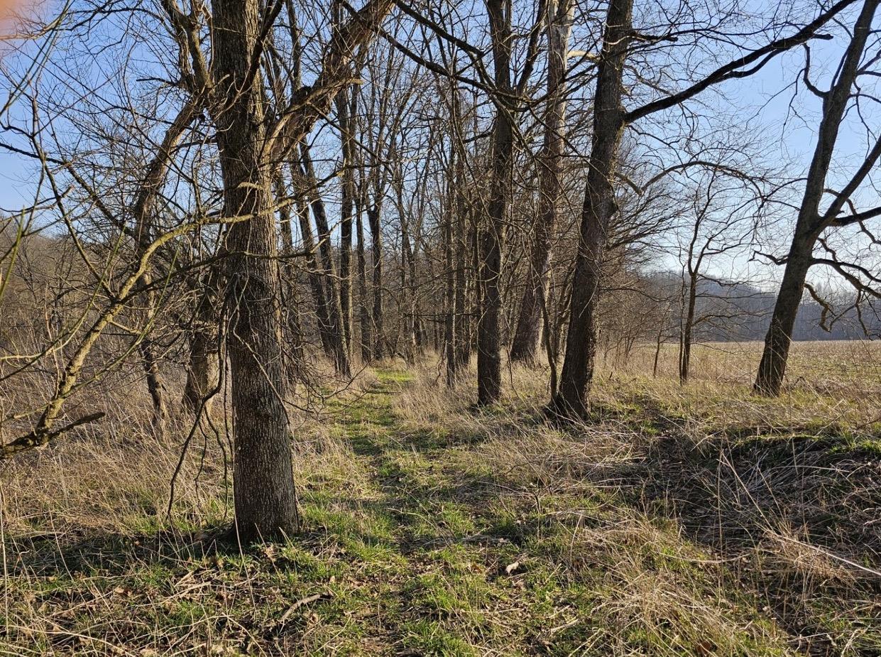 0 Stipps Hill Road Laurel, IN 47024 - Photo 3 of 23