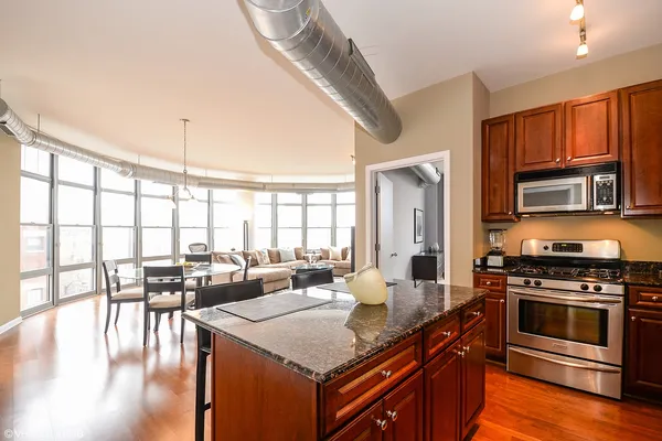$3,800 | 1200 West Monroe Street, Unit 508, Chicago, IL 60607