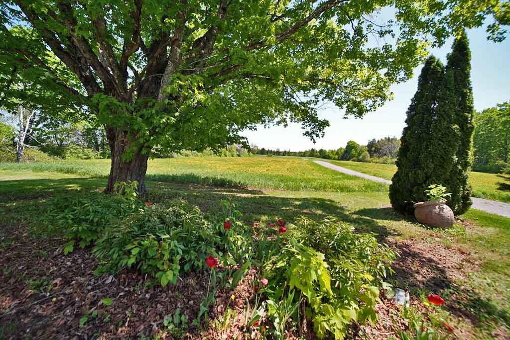 298 Framngham Road Littleton, ME 04730 - Photo 73 of 95 flower-bed-me-farm