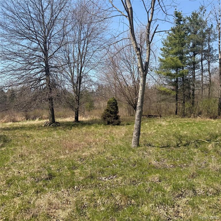 11779 Dunn Road Memphis, MI 48041 - Photo 36 of 37