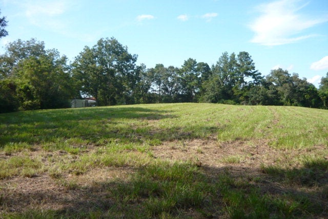 12-ac Cool Springs Road Opp, AL 36467 - Photo 5 of 14 Gallery Image 5