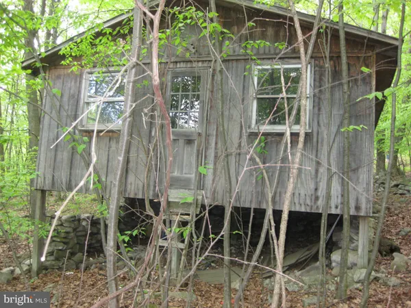 a small garden in the back yard
