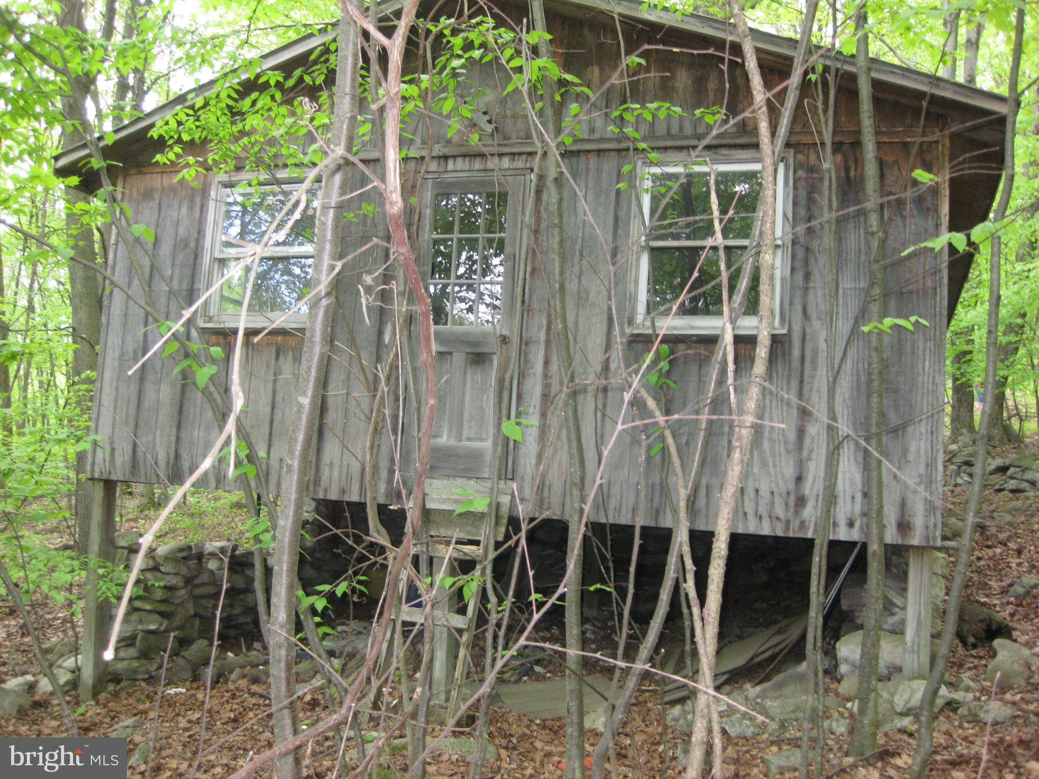 a small garden in the back yard