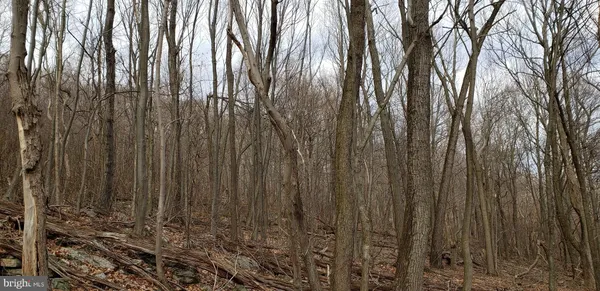 $99,900 | 20526 Laurel Mountain Road, Three Springs, PA 17264