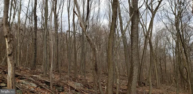 $99,900 | 20526 Laurel Mountain Road, Three Springs, PA 17264