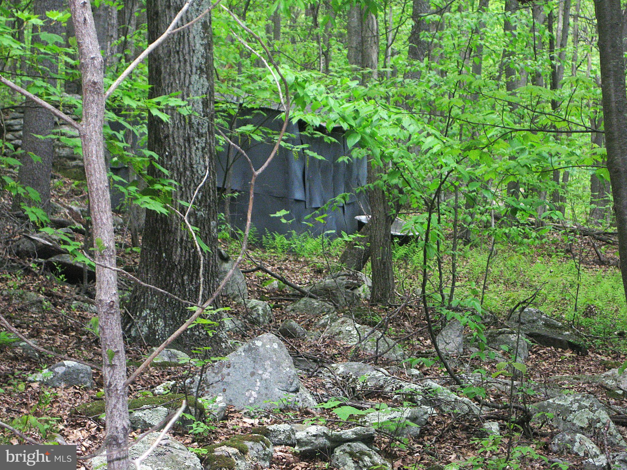 20526 Laurel Mountain Road Three Springs, PA 17264 - Photo 14 of 15 a backyard of a house with lots of plants and trees