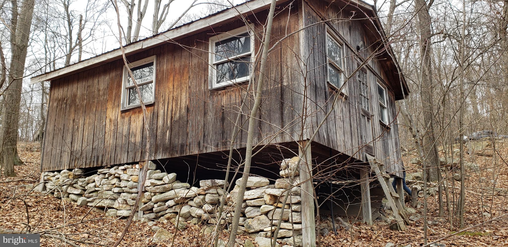 20526 Laurel Mountain Road Three Springs, PA 17264 - Photo 2 of 15 a backyard of a house with a lot of plants and trees