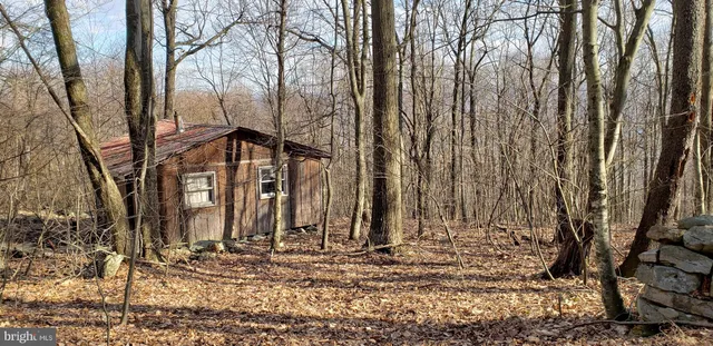 a backyard of a house with large trees