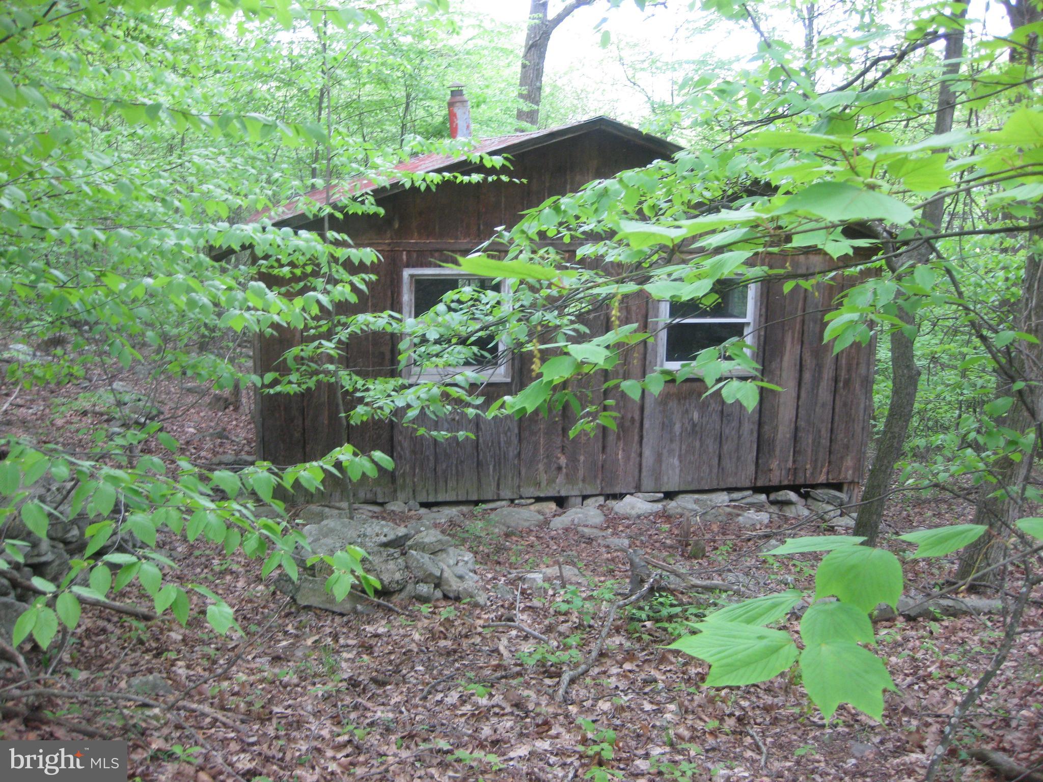 20526 Laurel Mountain Road Three Springs, PA 17264 - Photo 6 of 15 a garden with lots of trees