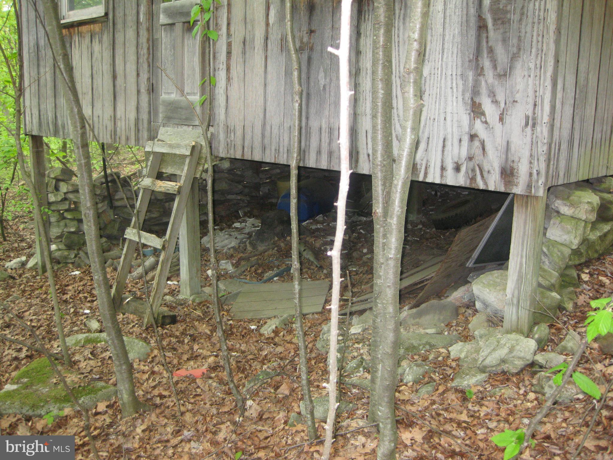 20526 Laurel Mountain Road Three Springs, PA 17264 - Photo 7 of 15 a bathroom with a shower