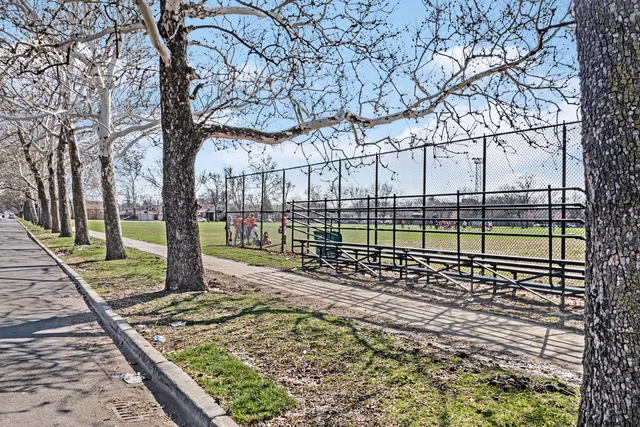 a view of a backyard with a large tree