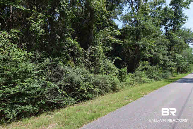 0 Fish River Road Foley, AL 36535 - Photo 1 of 1