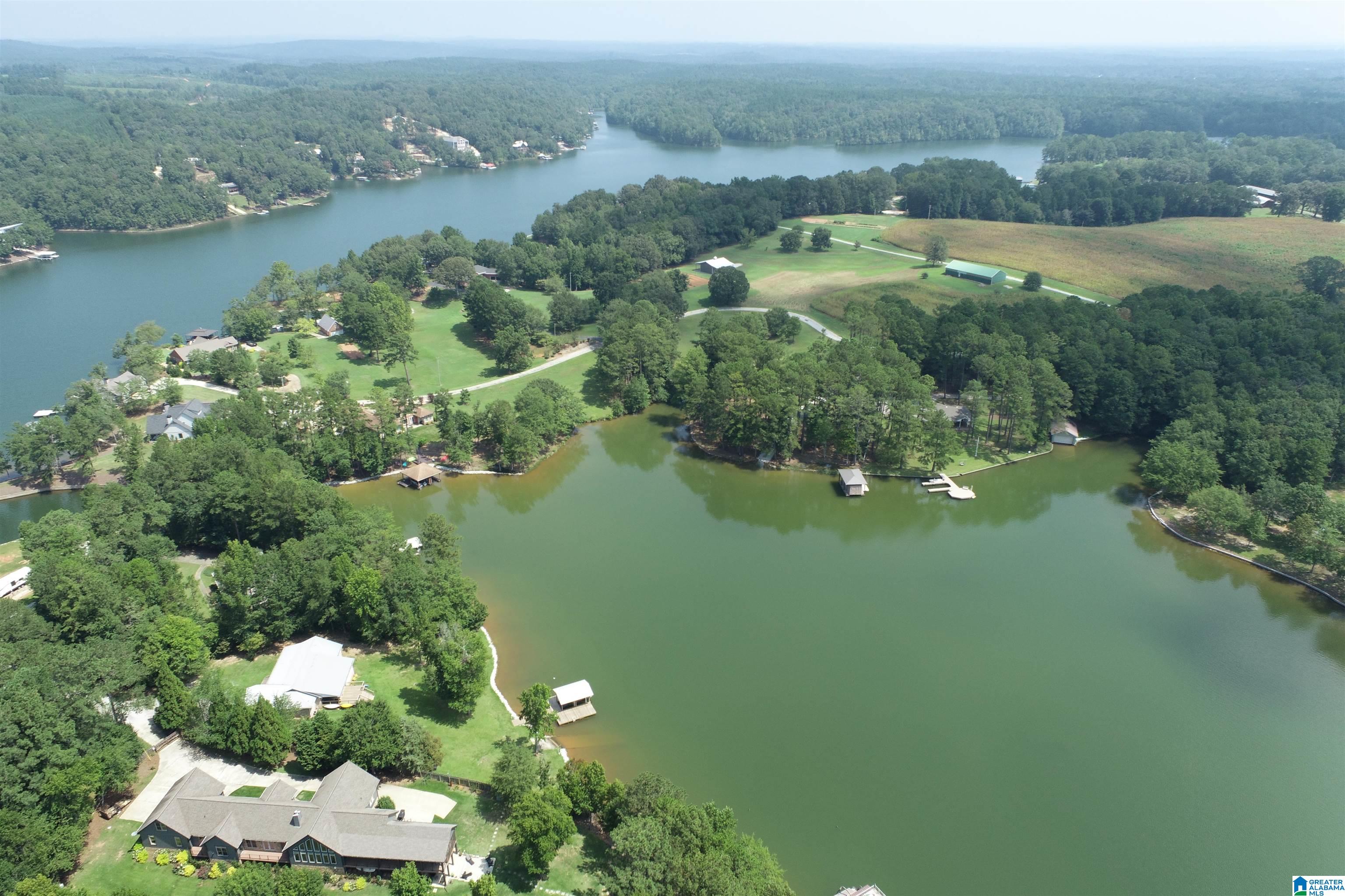0 Wylie Road Wedowee, AL 36278 - Photo 8 of 10