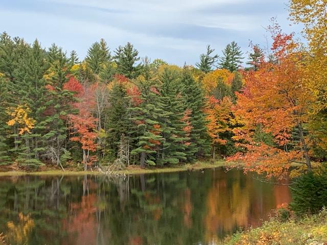 2001 Long Falls Dam Road New Portland, ME 04961 - Photo 32 of 33 IMG_1032