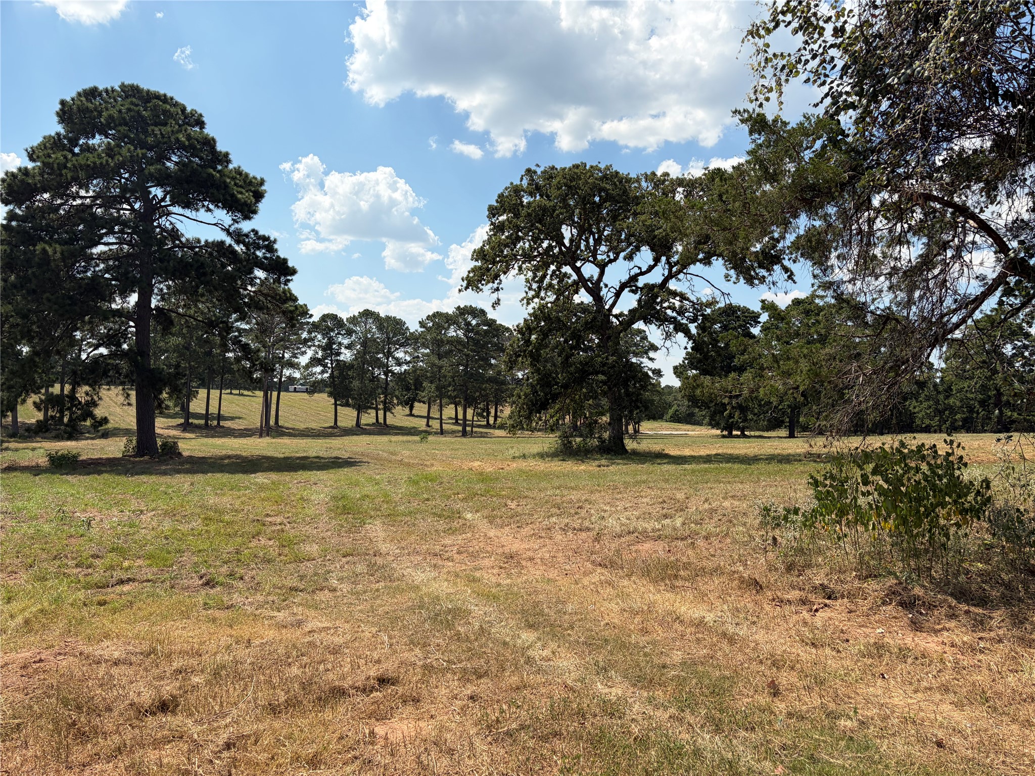 170 Split Oak Road Smithville, TX 78957 - Photo 5 of 31 A verdant landscape unfolds, showcasing mature trees and expansive green space, ideal for a private estate.